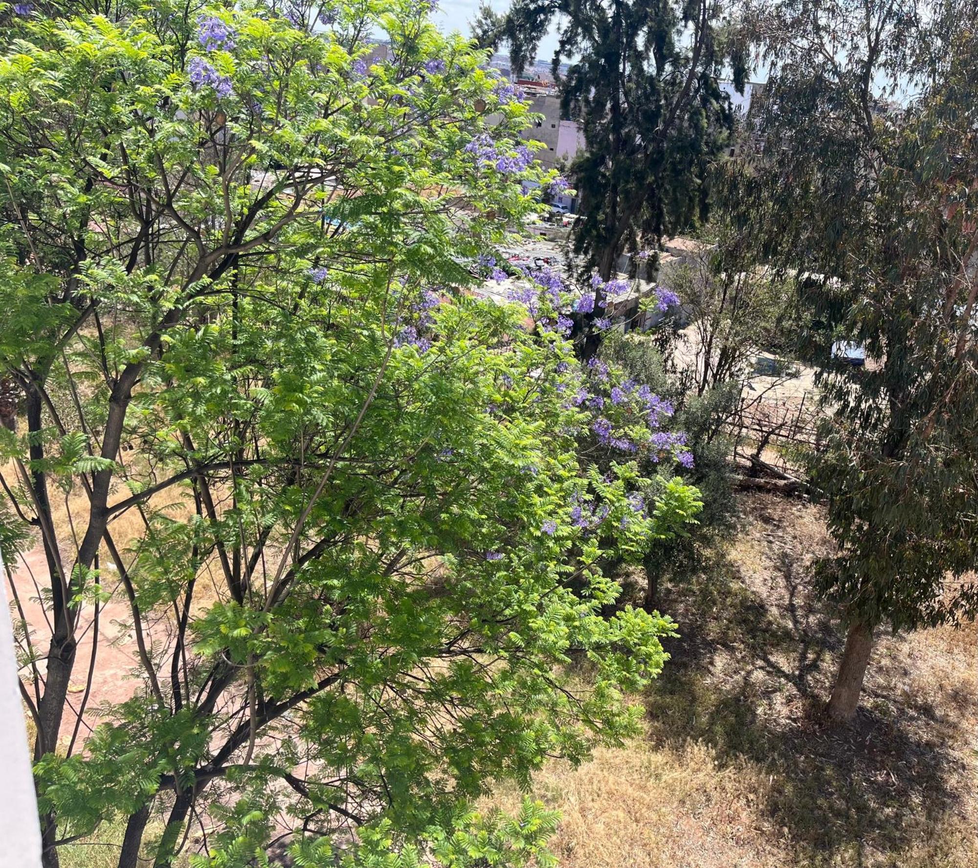 Casablanca Beautiful And Tranquil Family Apartment 客房 照片